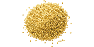 millet-global-sourcing